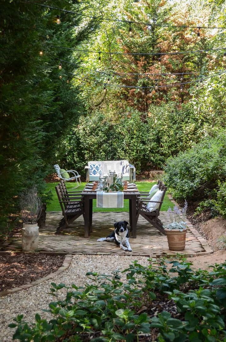 a dog laying on the ground next to a table and chairs