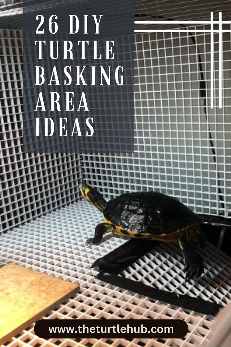 a small turtle sitting on top of a metal grate with text overlay that reads, 26 diy turtle basking area ideas