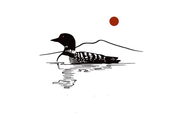 a drawing of a duck floating on water with a red ball in the air above it