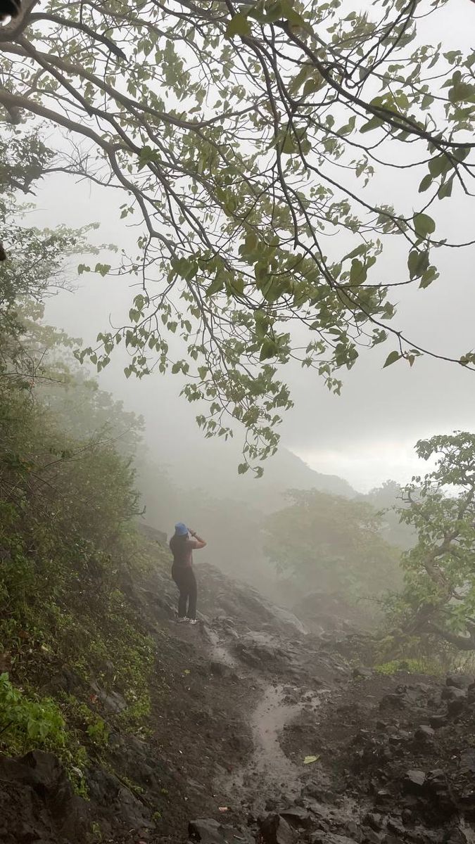 a person walking up a rocky trail in the woods on a foggy, overcast day