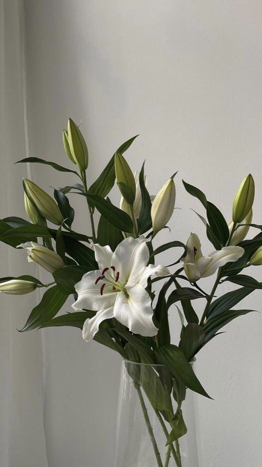 a vase filled with white flowers on top of a table