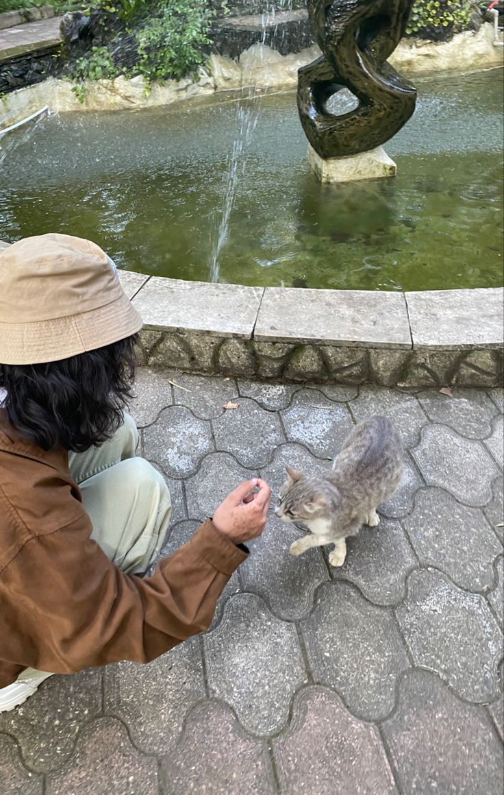 a person petting a cat in front of a fountain