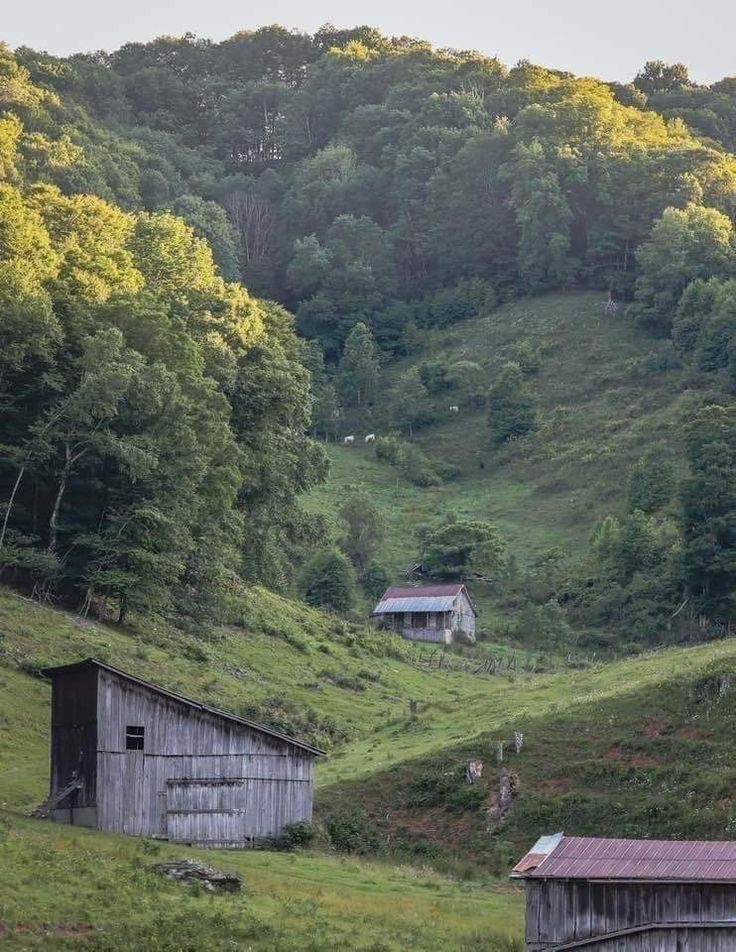 an old barn sits in the middle of a green hillside with trees on it's sides