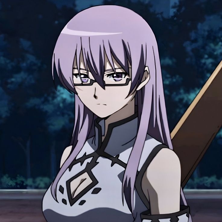 Sheele Akame Ga Kil, Sheele Akame Ga Kill, Night Raid, Anime For Life, Upcoming Anime, Fallout Art, Key Visual, Hottest Anime Characters, New Character