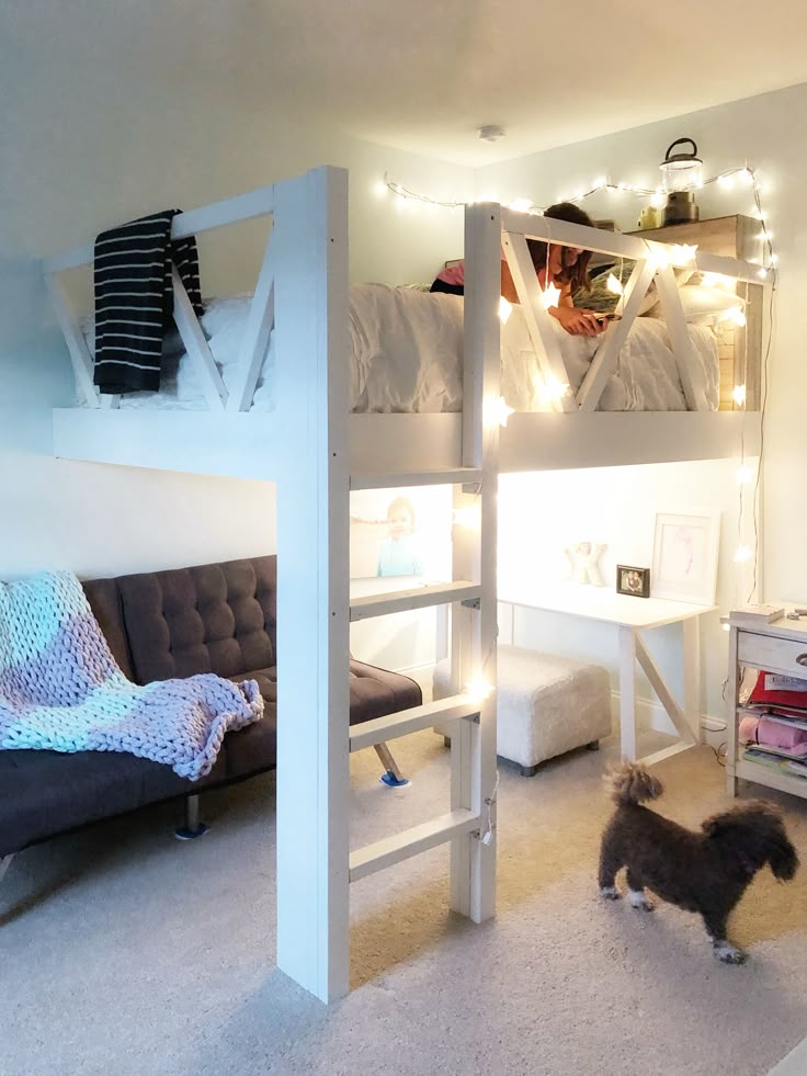 a dog standing in front of a bunk bed