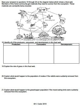 the diagram below shows how plants and animals interact with each other in this worksheet