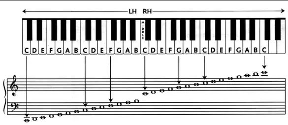 Treble And Bass Clef Diagram