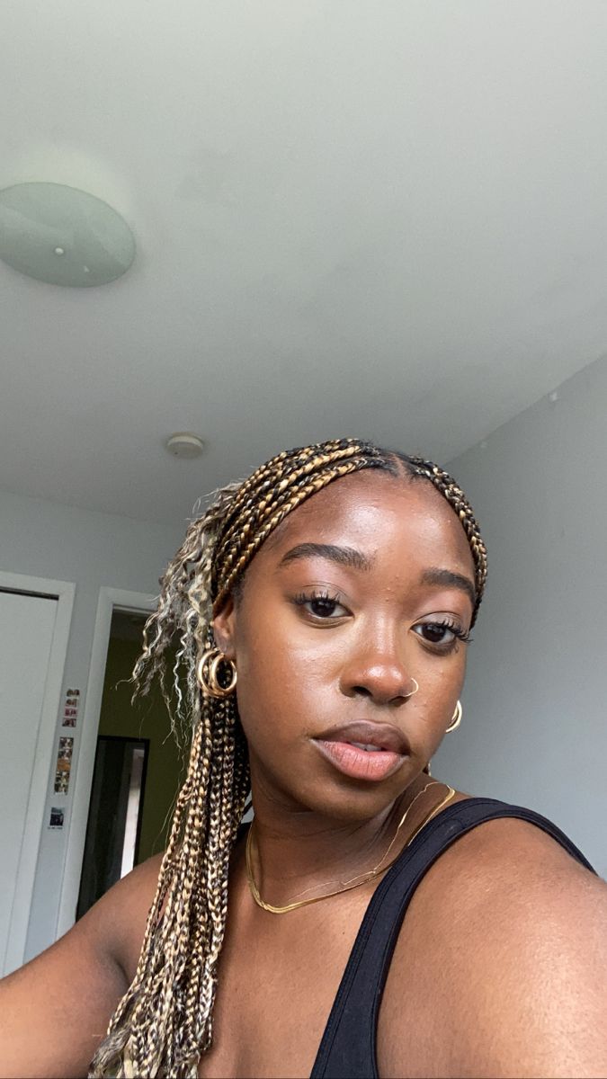 Box Braids With Highlights Black Women, Dark Skin Brown Braids, Braid Colours For Dark Skin, Blonde Ombre Box Braids, Dark Skin Blonde Braids, Braids For Dark Skin Women, Brown Blonde Braids, Blonde Braids Black Women Dark Skin, December Braids