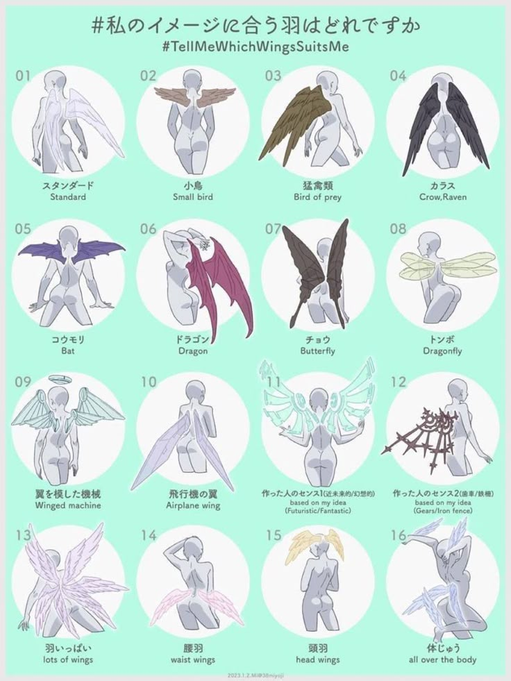 an anime character's body and wings in various poses, with the words written below it