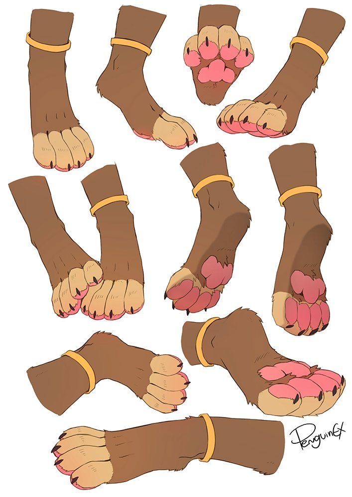 the feet and ankles of an animal are shown in different positions, including one with pink toenails