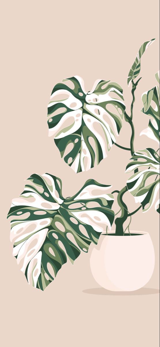 a potted plant with green and white leaves in it on a light pink background