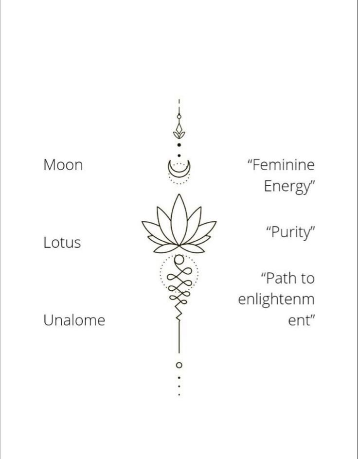 the diagram shows different parts of an energy plant and its corresponding names, including moon, feminine energy, lotus, puriy, path to enlighten