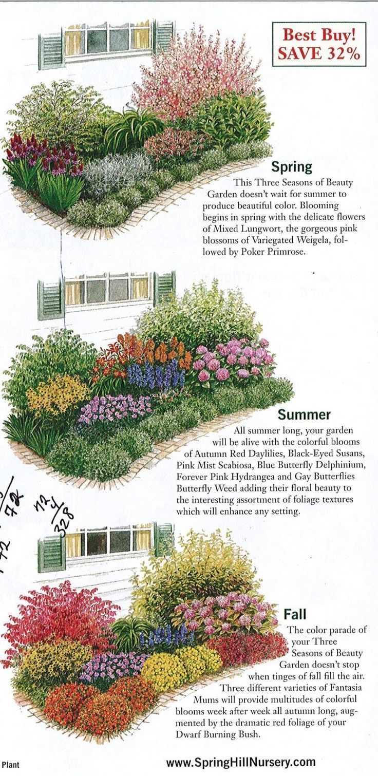 the different types of flowers are shown in this diagram, and each has their own name