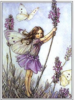 a drawing of a fairy holding a flower