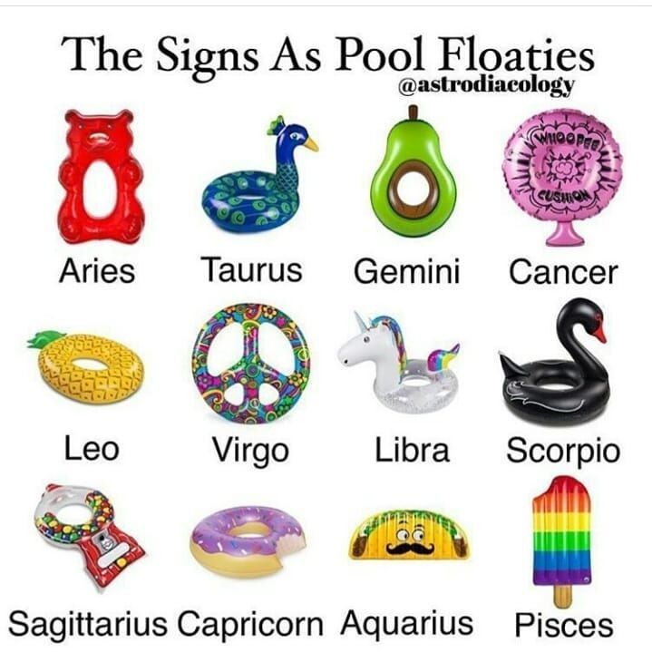 the signs as pool floaties and zodiacs are shown in this graphic above them