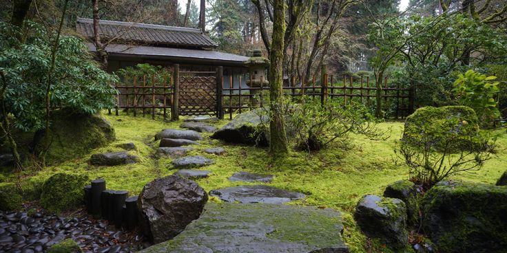 a small building in the middle of a forest with moss growing on it's rocks