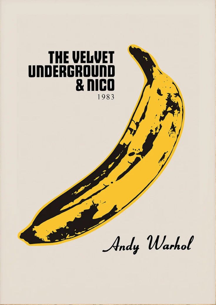 the velvet underground and nico, 1933 by andy wahlol - book cover