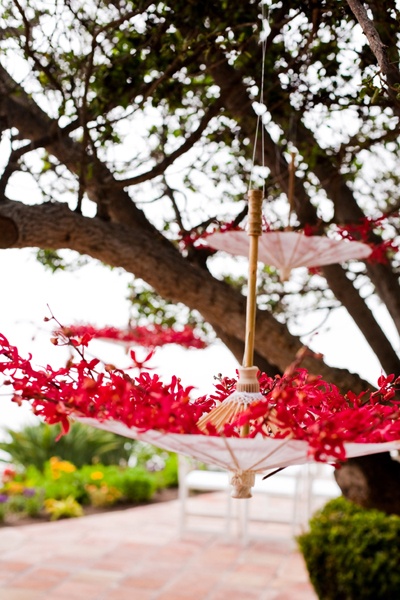 two umbrellas hanging from a tree with red flowers in the foreground and a brick walkway behind them