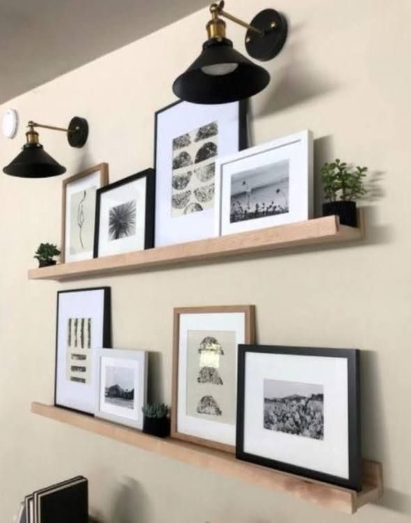 some framed pictures are hanging on the wall next to a lamp and potted plant