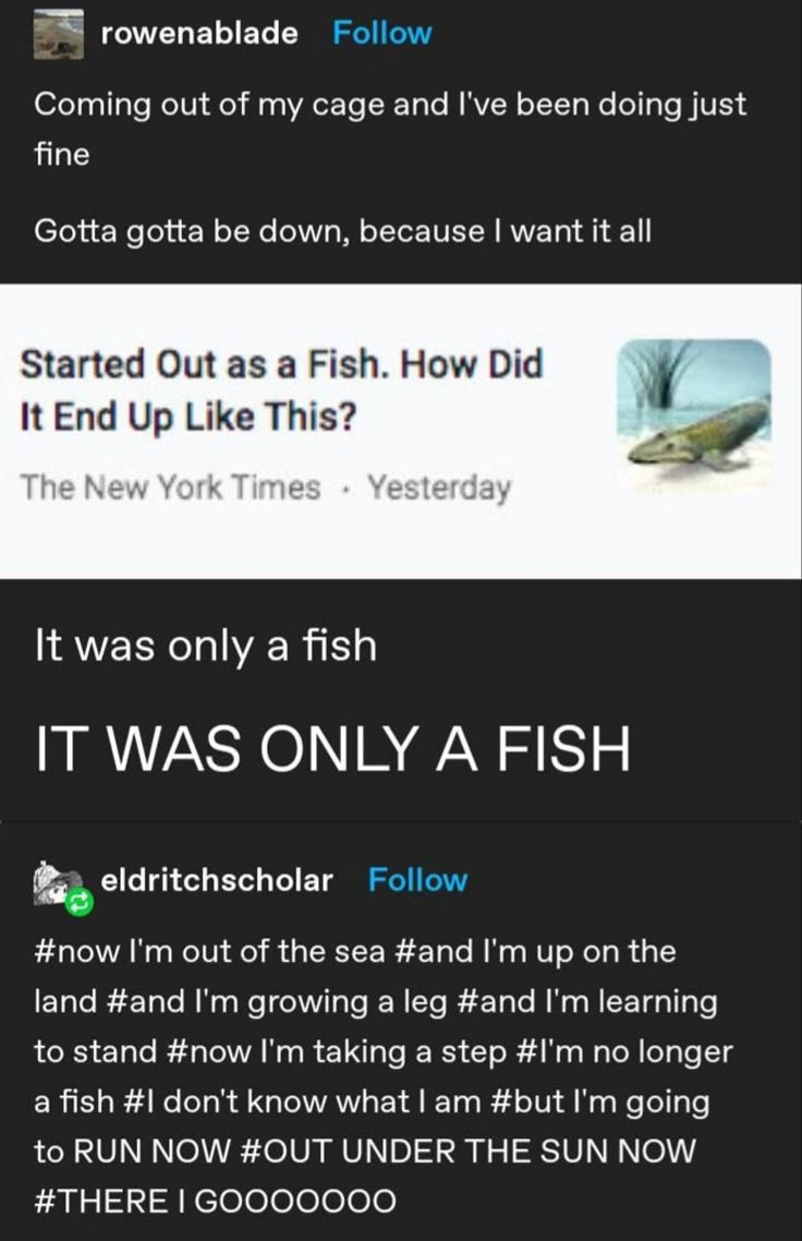 two tweets that are on the same page, one is saying it was only a fish