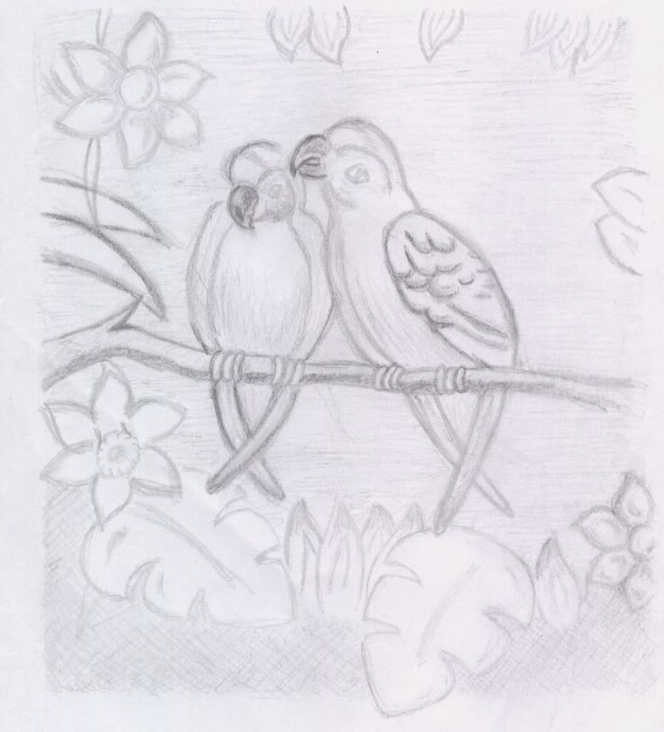 two birds sitting on a branch with flowers in the background