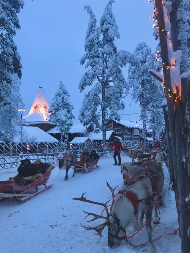 reindeer sleighs are lined up in the snow with people walking around them