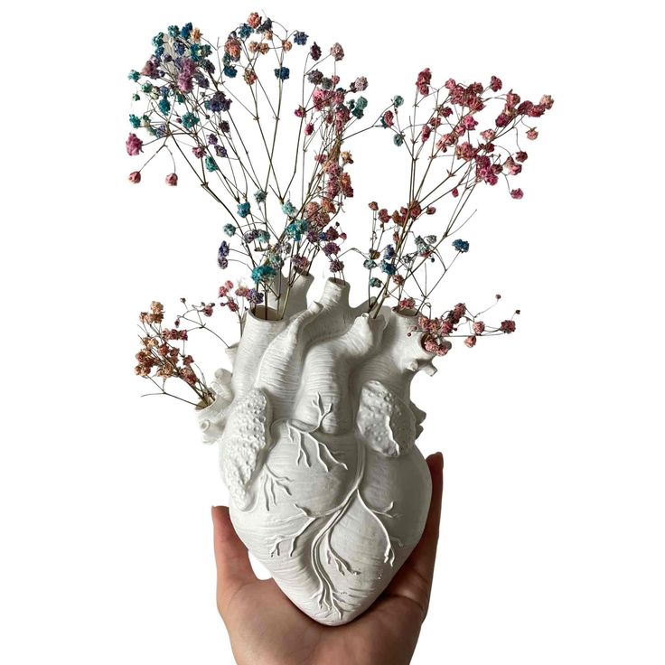 a hand holding a vase with flowers and branches in it's heart shape, on a white background