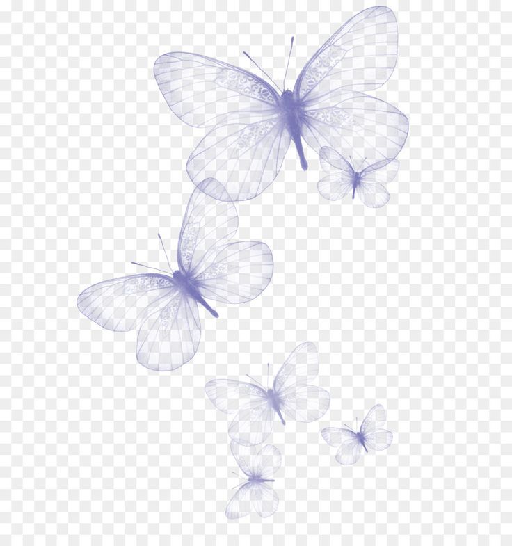 three butterflies flying in the air on a transparent background, hd png clipart