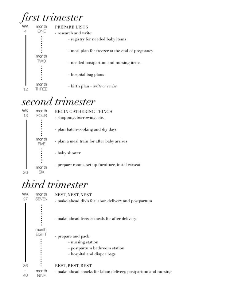 a black and white image of a text description for the first trimester, second trimester