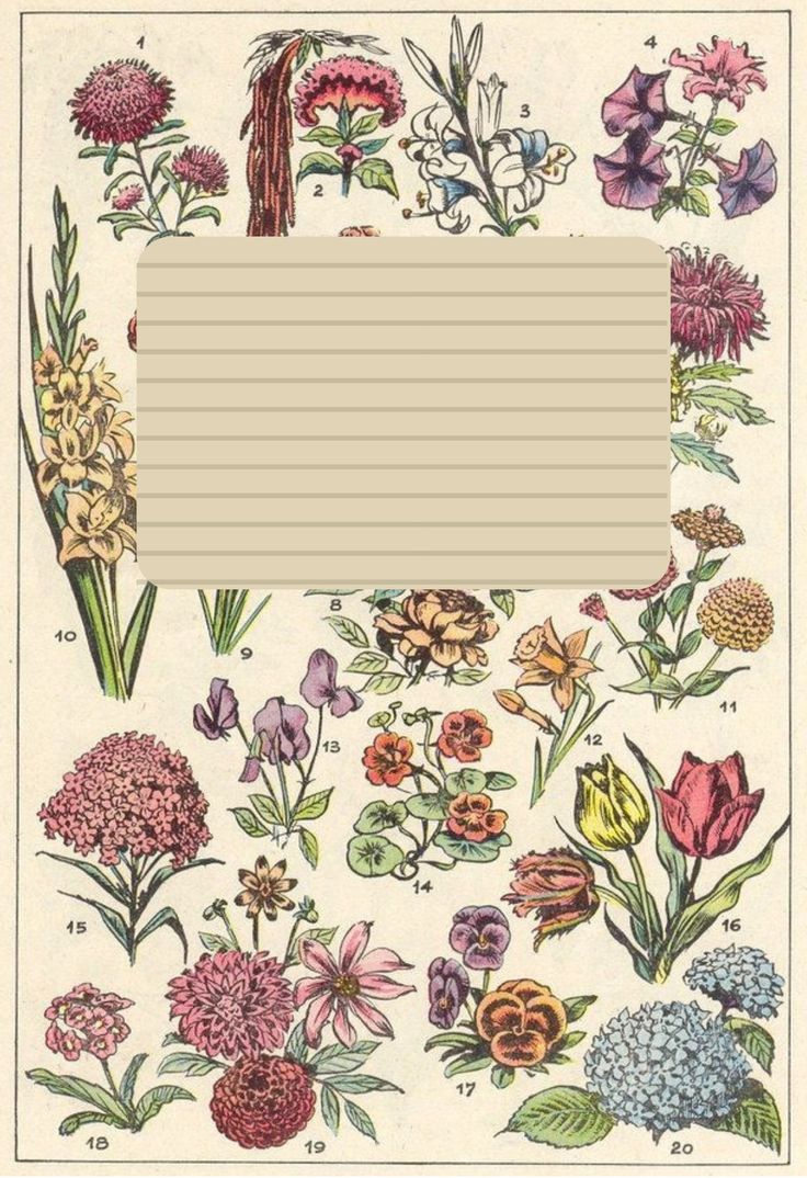 an illustration of flowers and leaves with a sheet of paper in the middle that says,