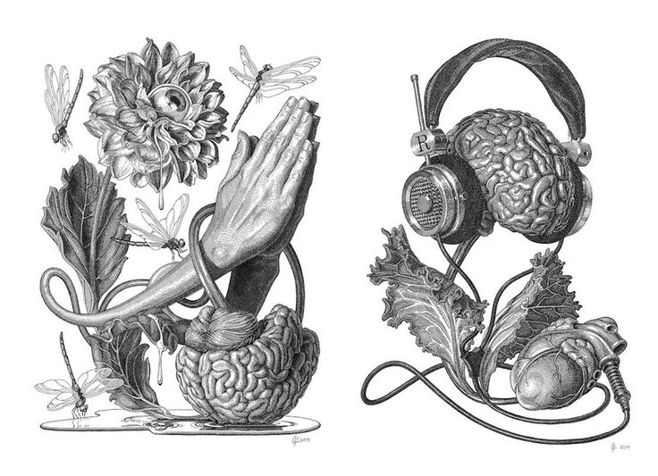 two drawings of headphones and flowers