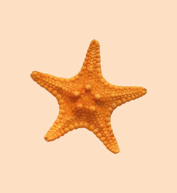 an orange starfish floating in the air