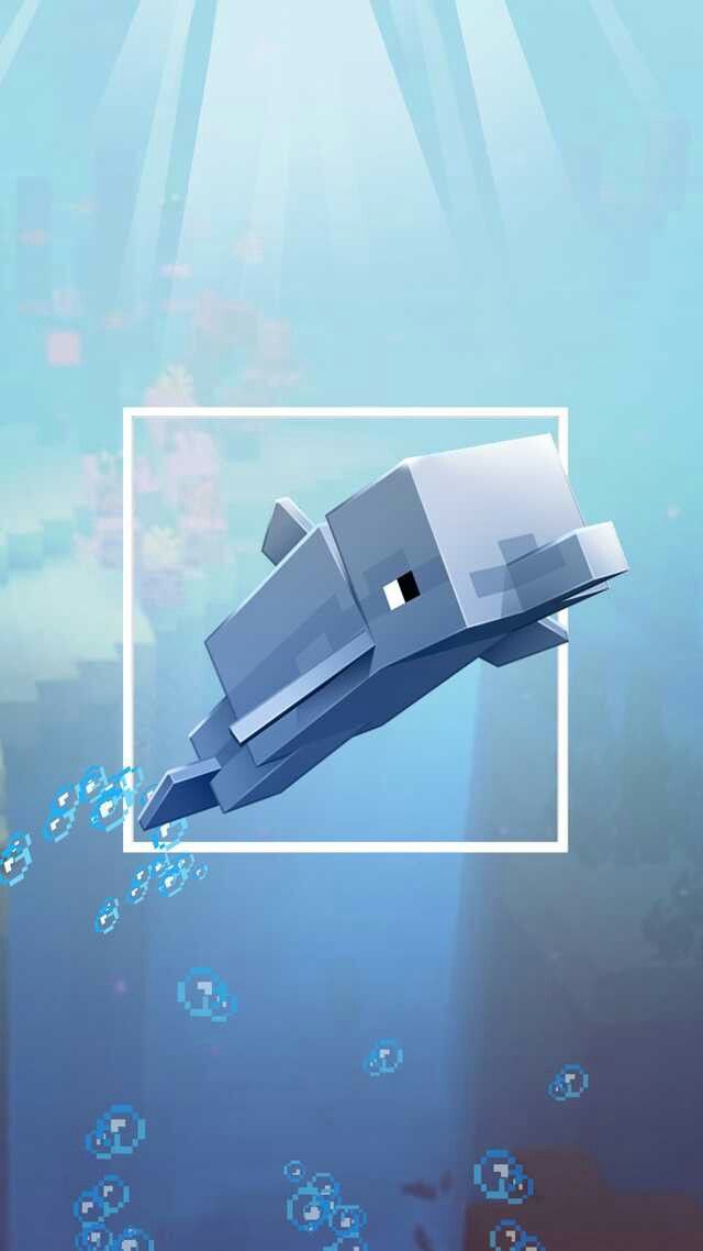 Minecraft Dolphin, House Ideas Minecraft, Minecraft Sheep, Mobs Minecraft, Funny Minecraft Videos, Build Minecraft, Minecraft Images, Minecraft Fanart, Minecraft Servers