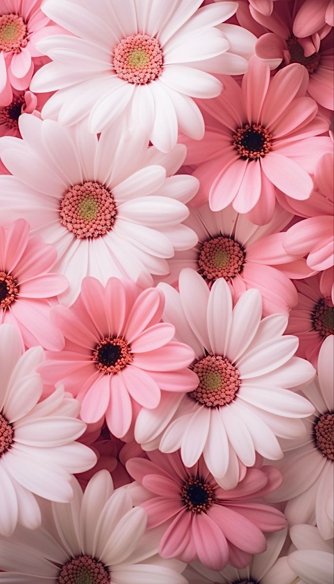 pink and white daisies are arranged in a pattern on top of each other,