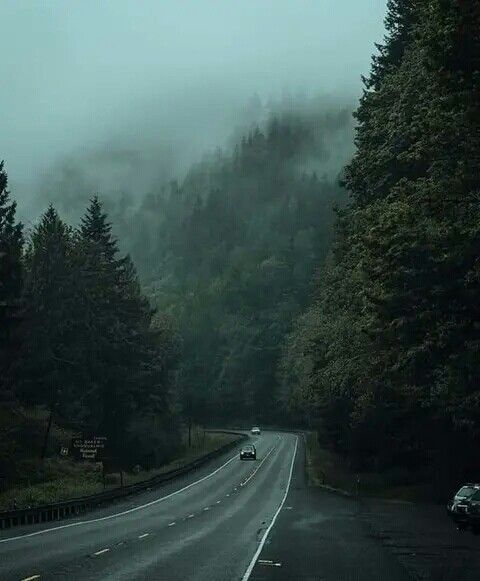 a car driving down a road in the middle of some foggy trees and hills