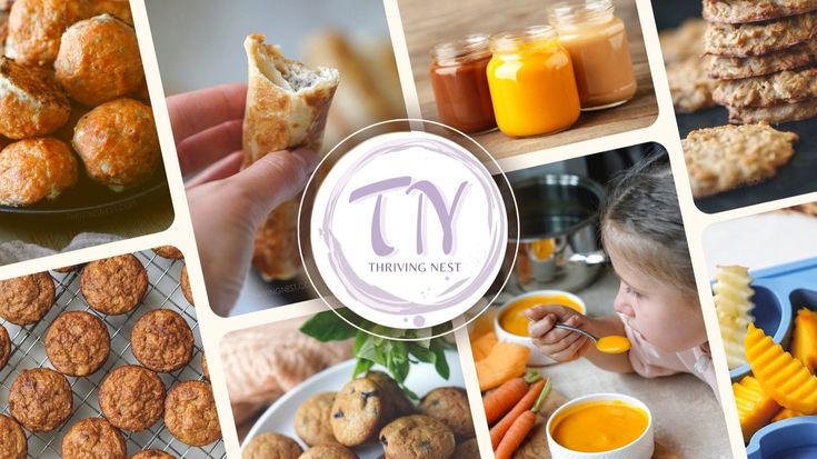 Thriving Nest - Healthy Baby Food Recipes