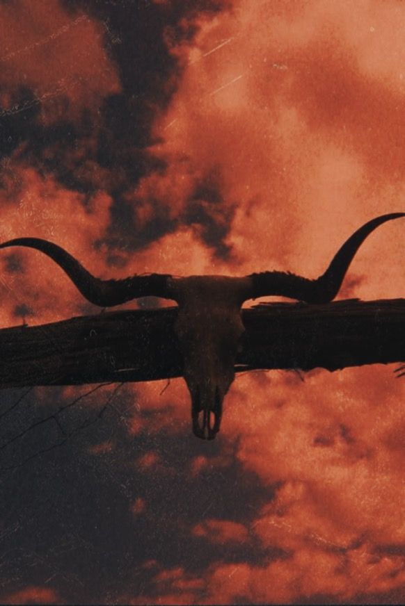 an animal skull hanging from the side of a wooden pole with clouds in the background