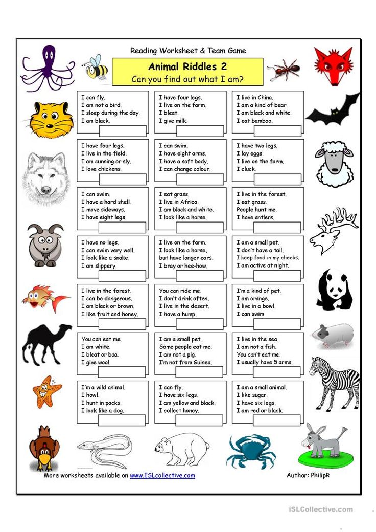 an animal riddles worksheet with animals and other things to do on it