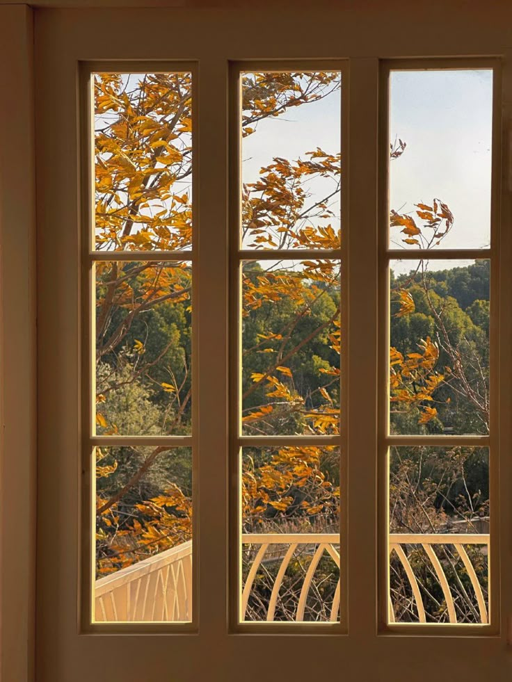 an open window with the view of autumn trees and yellow leaves in the fall season