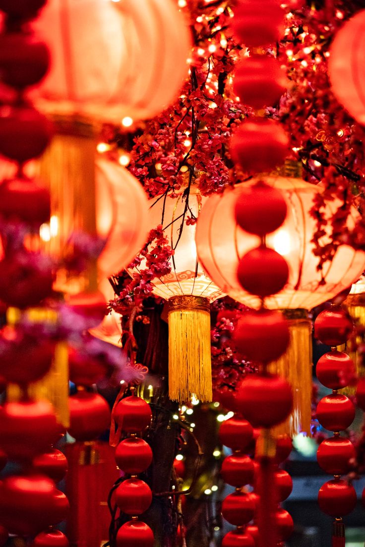 many red lanterns are hanging from the ceiling