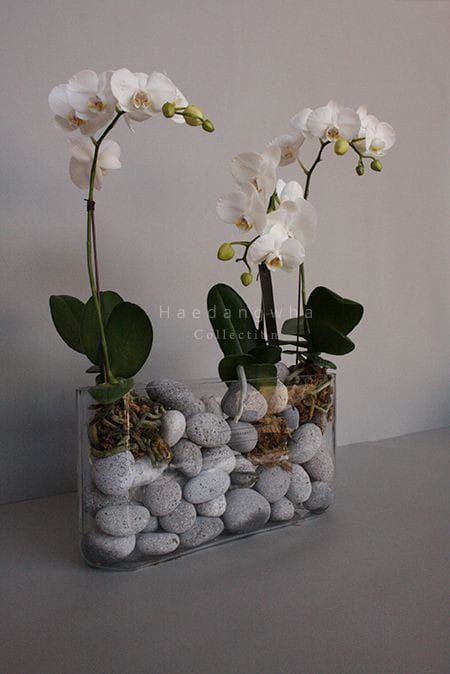 two vases filled with white flowers and rocks