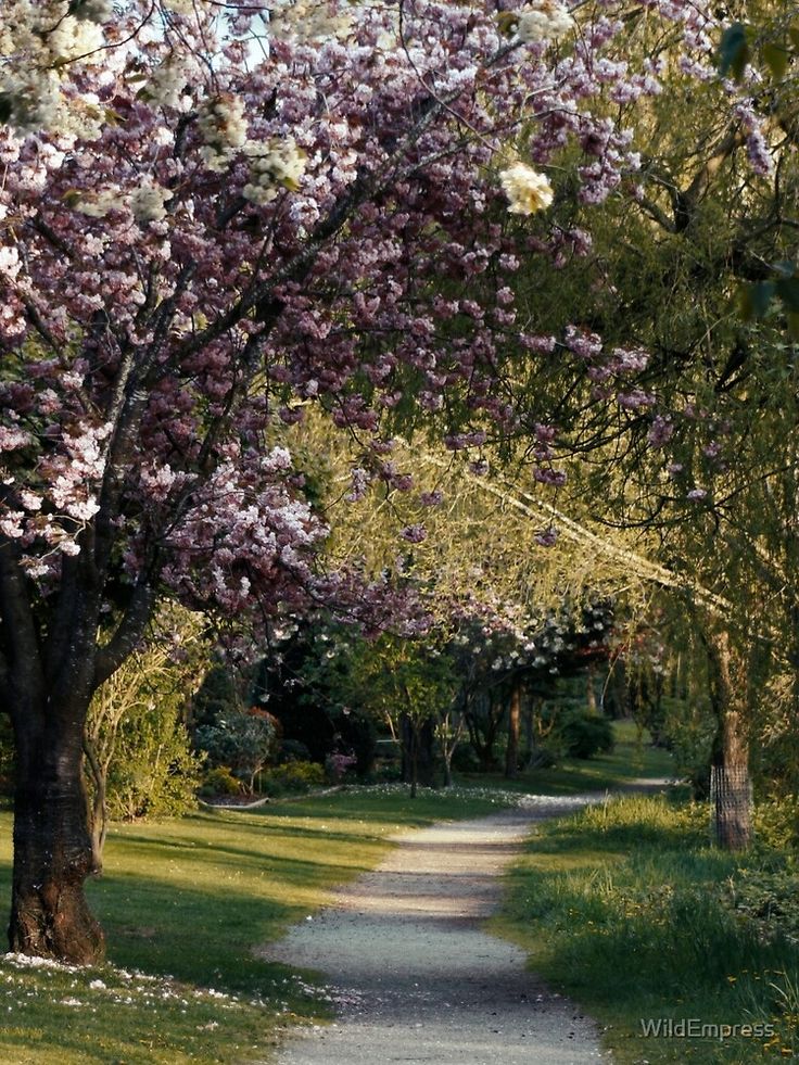 a tree lined path in the middle of a park with lots of flowers on it