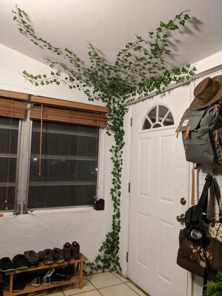 a room that has a bunch of shoes on the floor and plants growing up the ceiling