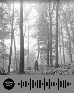 a man standing in the middle of a forest surrounded by tall trees with sound waves