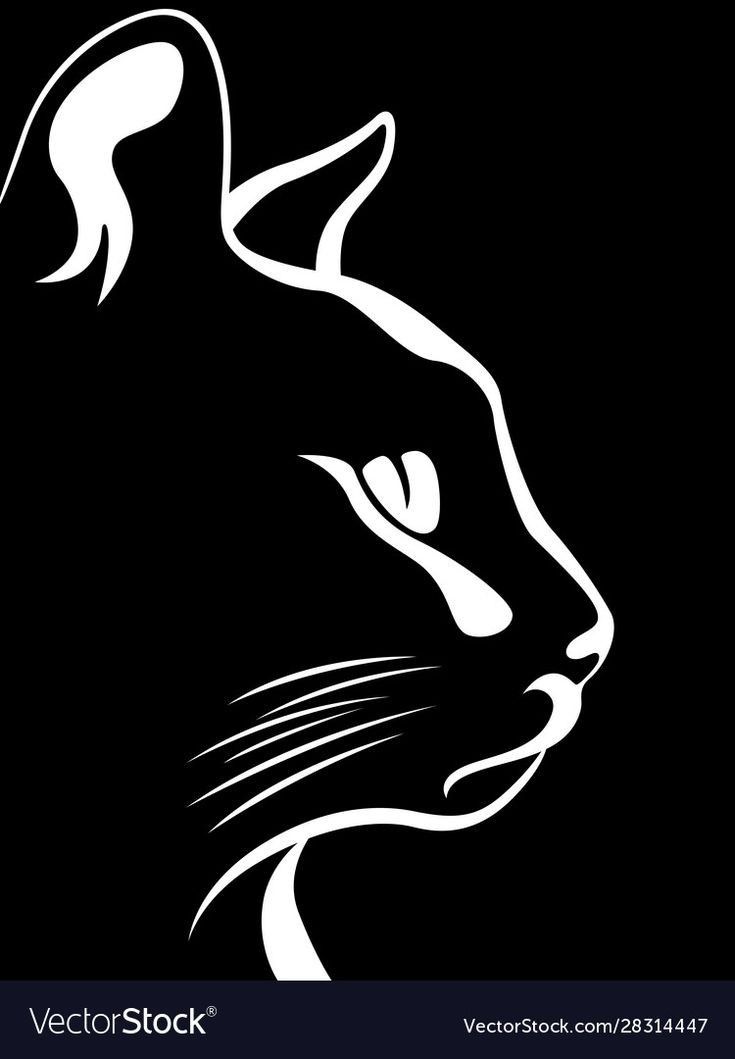 a cat's head on a black background