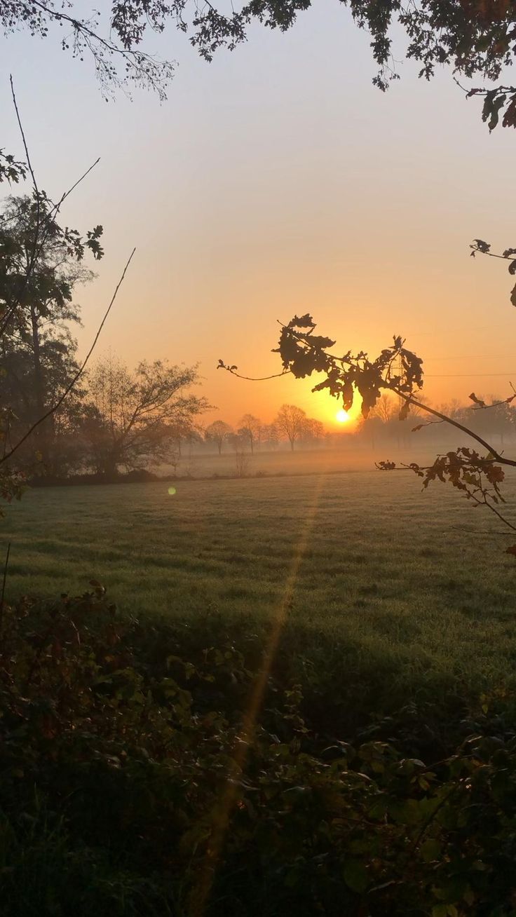 the sun is setting over a field with trees and grass in the foreground,