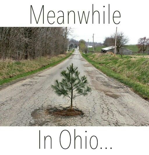 a small tree is growing in the middle of a dirt road with words meanwhite in ohio