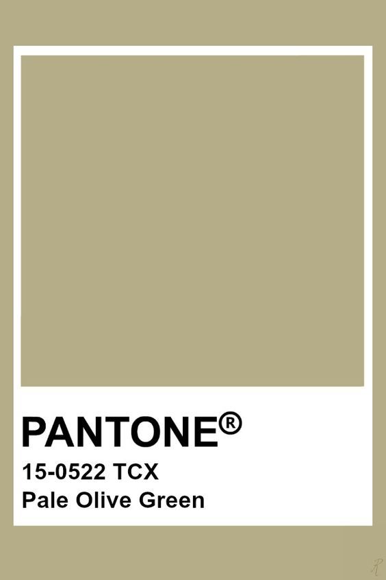 the pantone color is shown in this image, it's light brown and has a