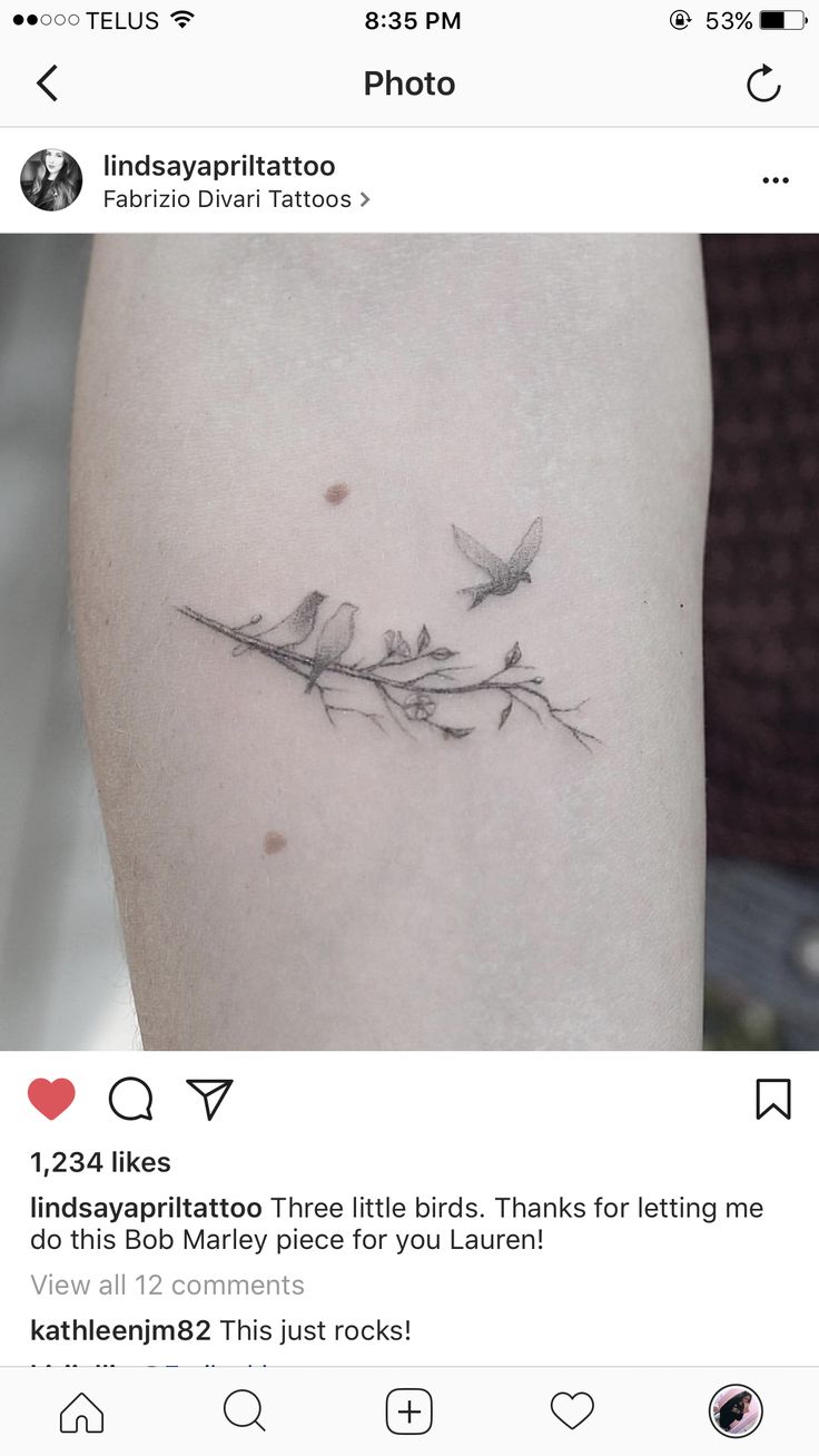 two birds sitting on a branch tattoo on the left side of the right arm,