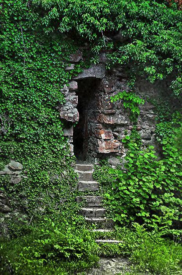 the stairs lead up to an old stone building with ivy growing on it's sides